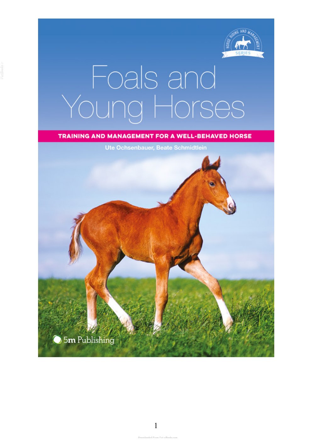 Look Inside page 2 - Foals And Young Horses Training And Management For A Well Behaved Horse Ebook
