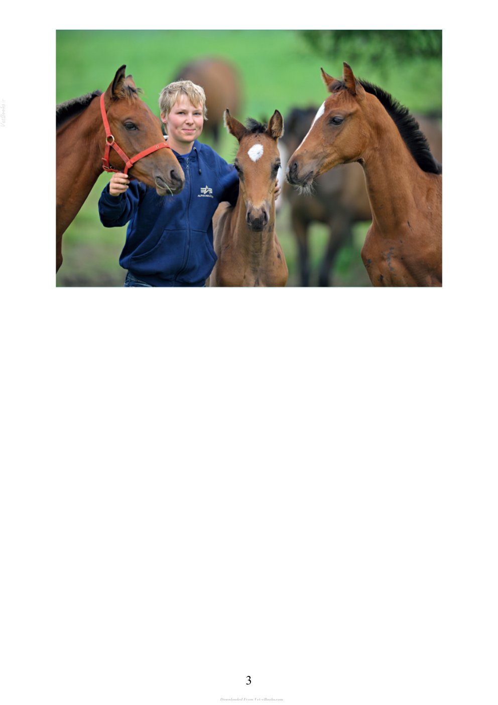 Look Inside page 4 - Foals And Young Horses Training And Management For A Well Behaved Horse Ebook