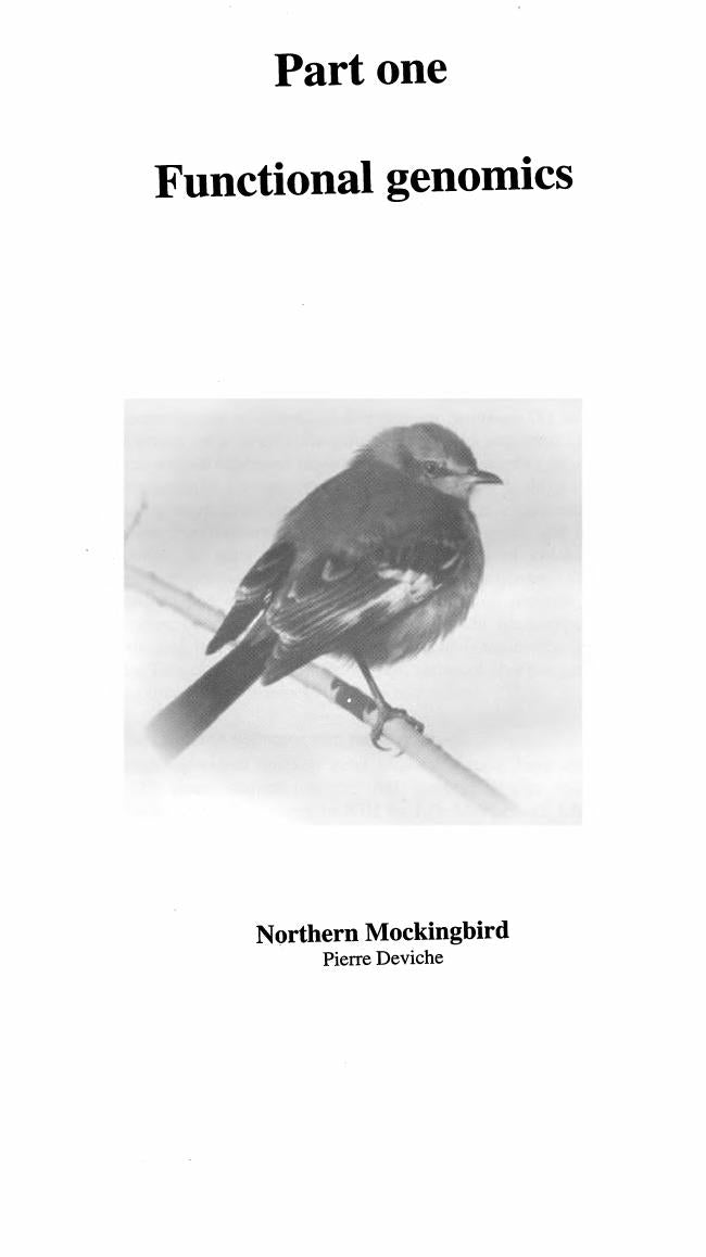 Preview page of Functional Avian Endocrinology