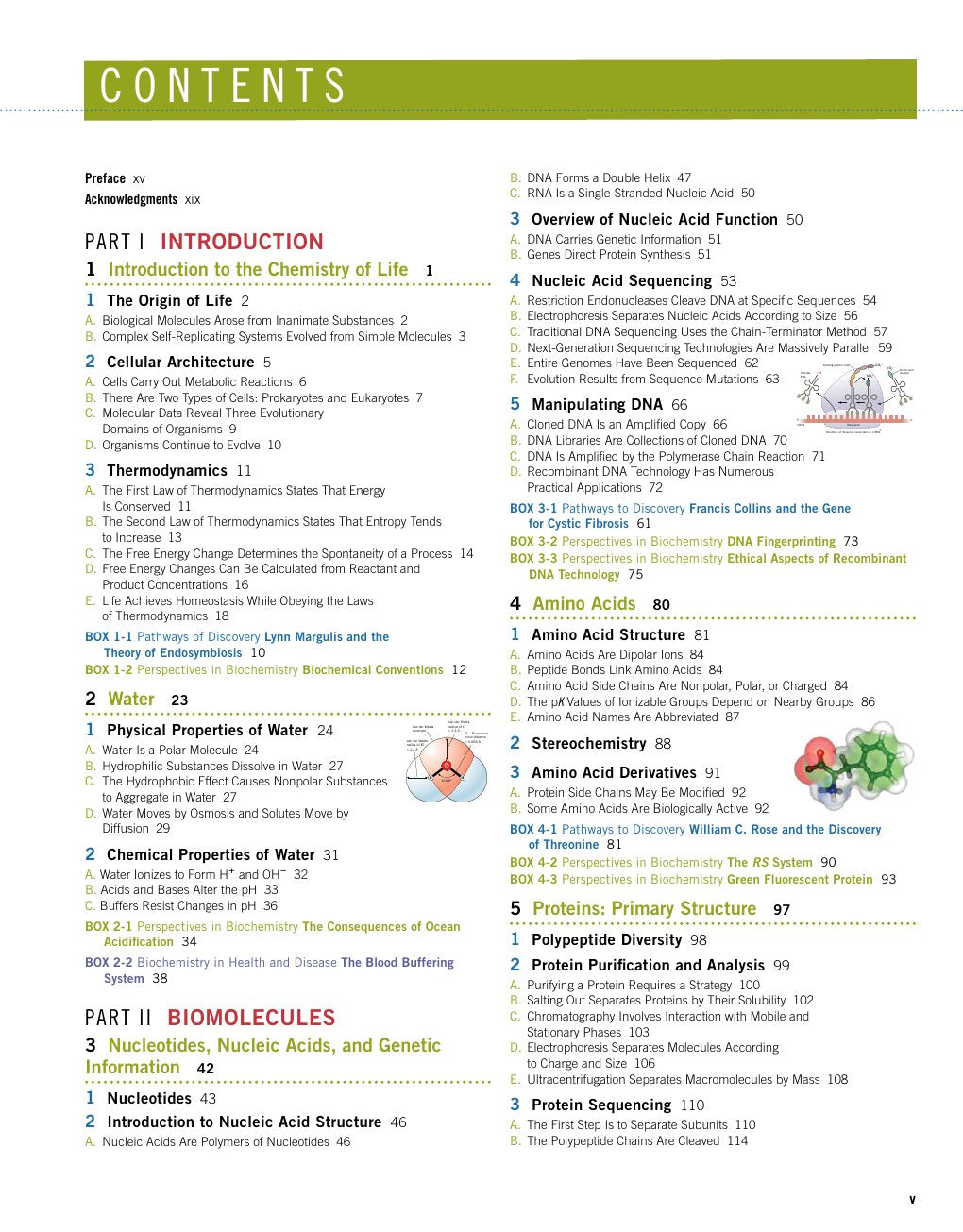 Look Inside page 7 - Fundamentals Of Biochemistry Voet And Voet 5Th Edition