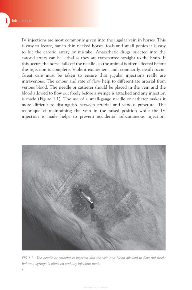 Look Inside page 8 - Handbook Of Equine Anaesthesia 2Nd