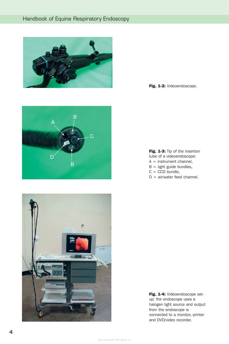 Look Inside page 7 - Handbook Of Equine Respiratory Endoscopy