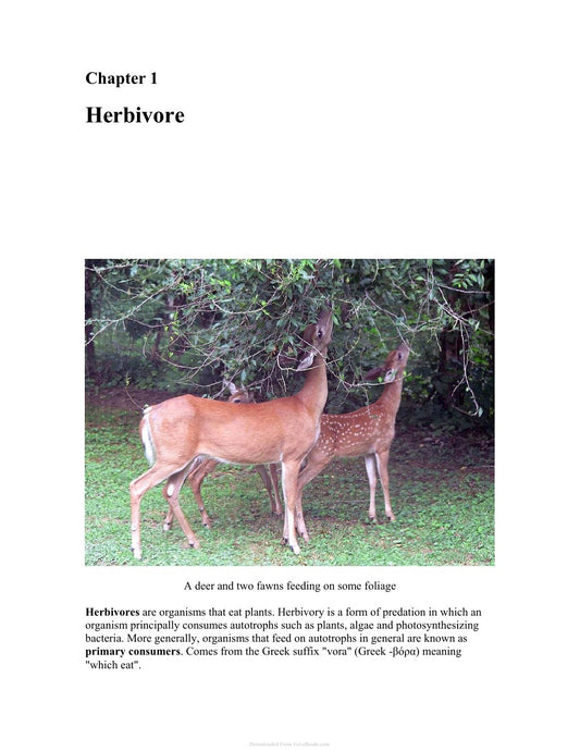 Look Inside page 4 - Herbivorous And Carnivorous Animals