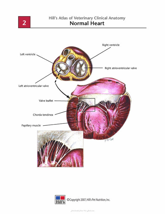 Look Inside page 5