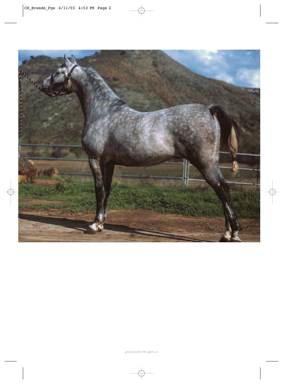 Look Inside page 3 - Horse Breeds Of The World