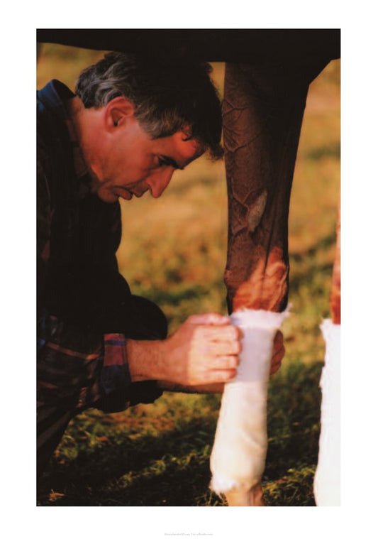 Look Inside page 3 - Horse Health And Care