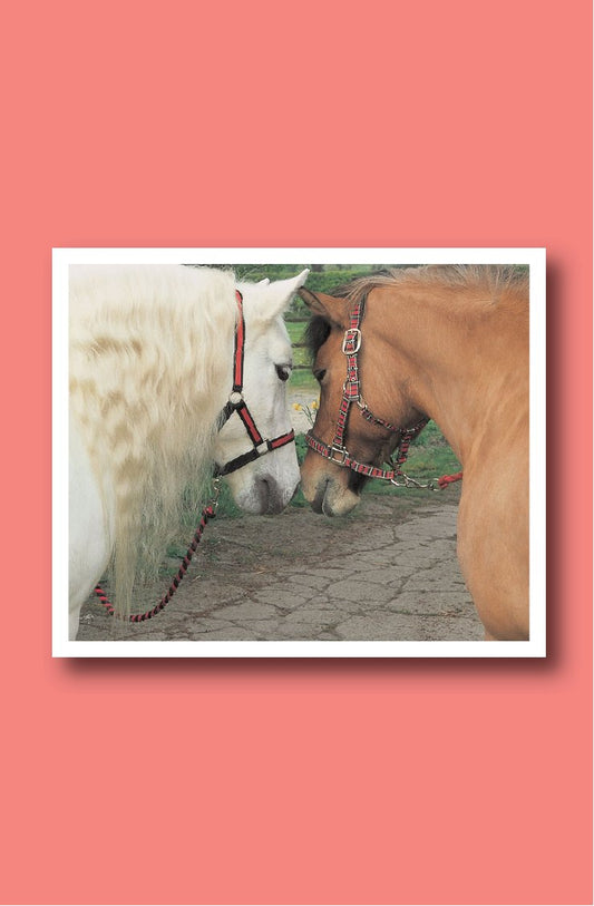 Look Inside page 2 - Horse Senses