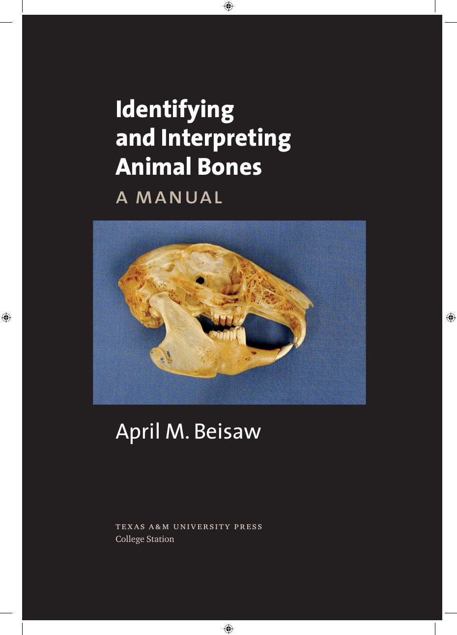 Look Inside page 4 - Identifying And Interpreting Animal Bones A Manual