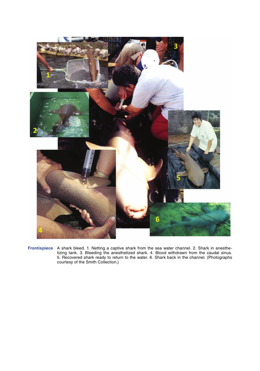 Look Inside page 3 - Immunobiology Of The Shark