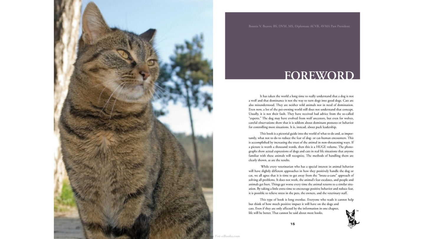 Look inside page 5