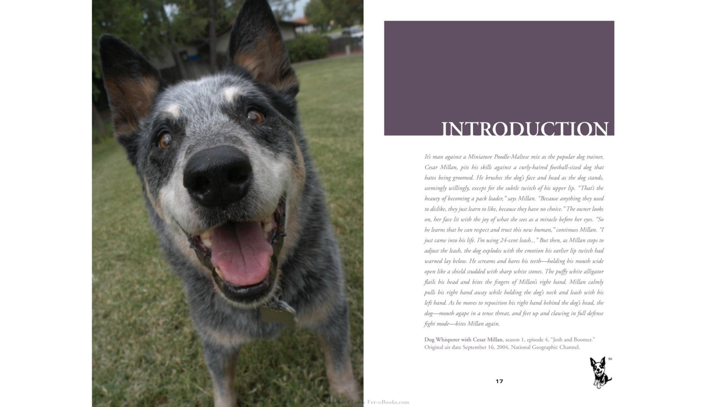 Look inside page 6