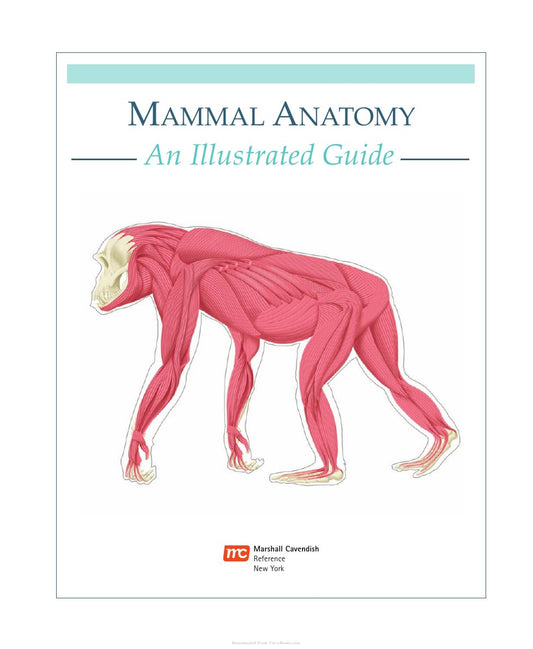 Look Inside page 2 - Mammal Anatomy An Illustrated Guide