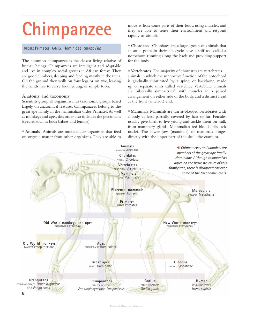 Look Inside page 8 - Mammal Anatomy An Illustrated Guide
