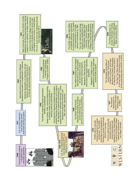 Look Inside page 2 - Mccurnins Clinical Textbook For Veterinary Technicians And Nurses 11Th Edition