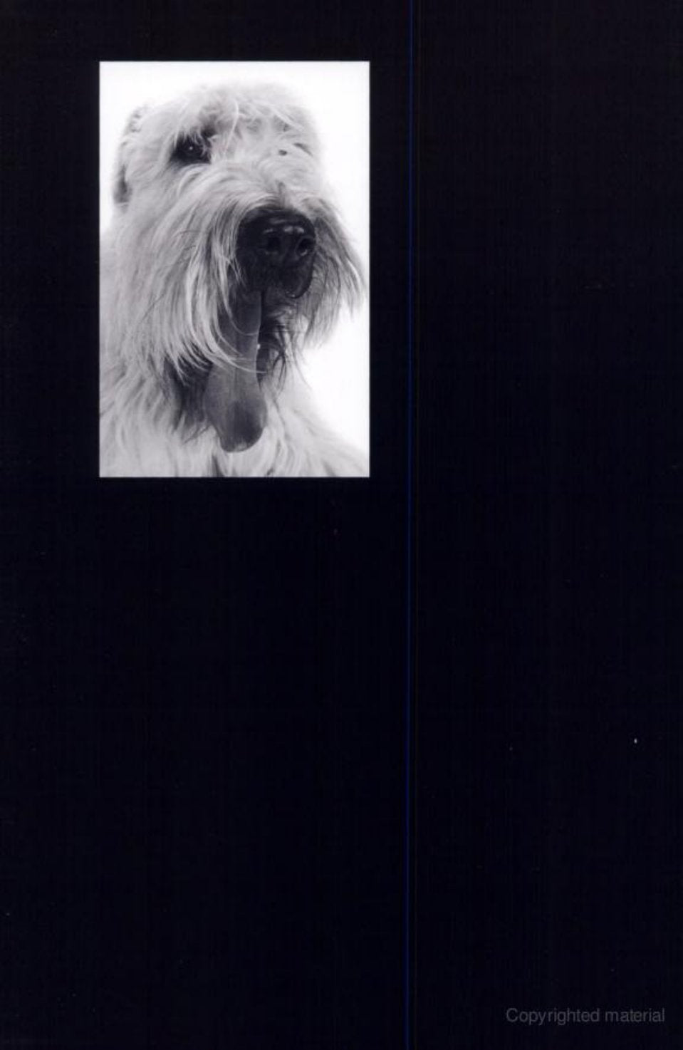 Look Inside page 2 - Neurology For The Small Animal Practitioner