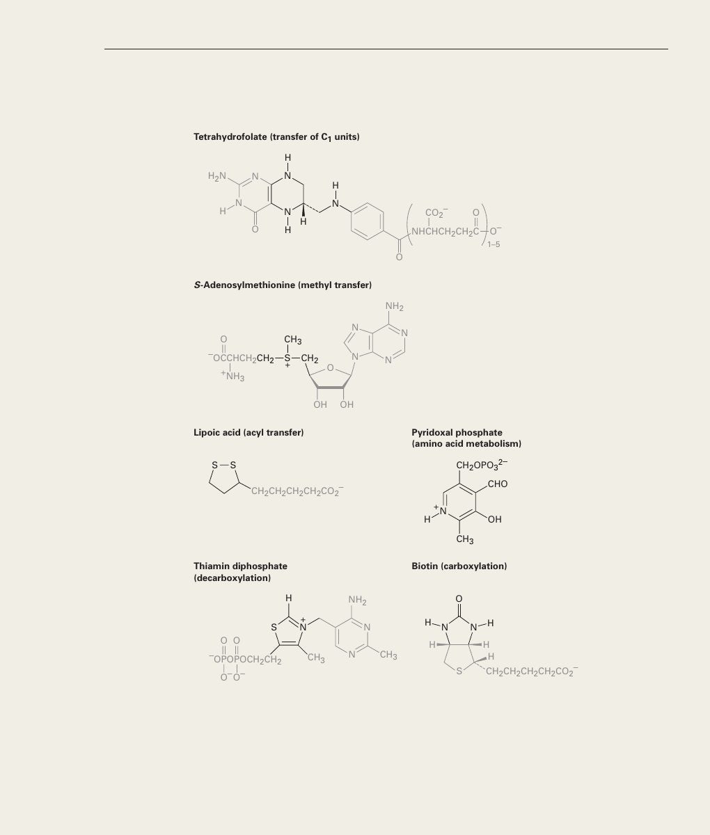 Look Inside page 3 - Organic Chemistry With Biological Applications 2Nd Edition
