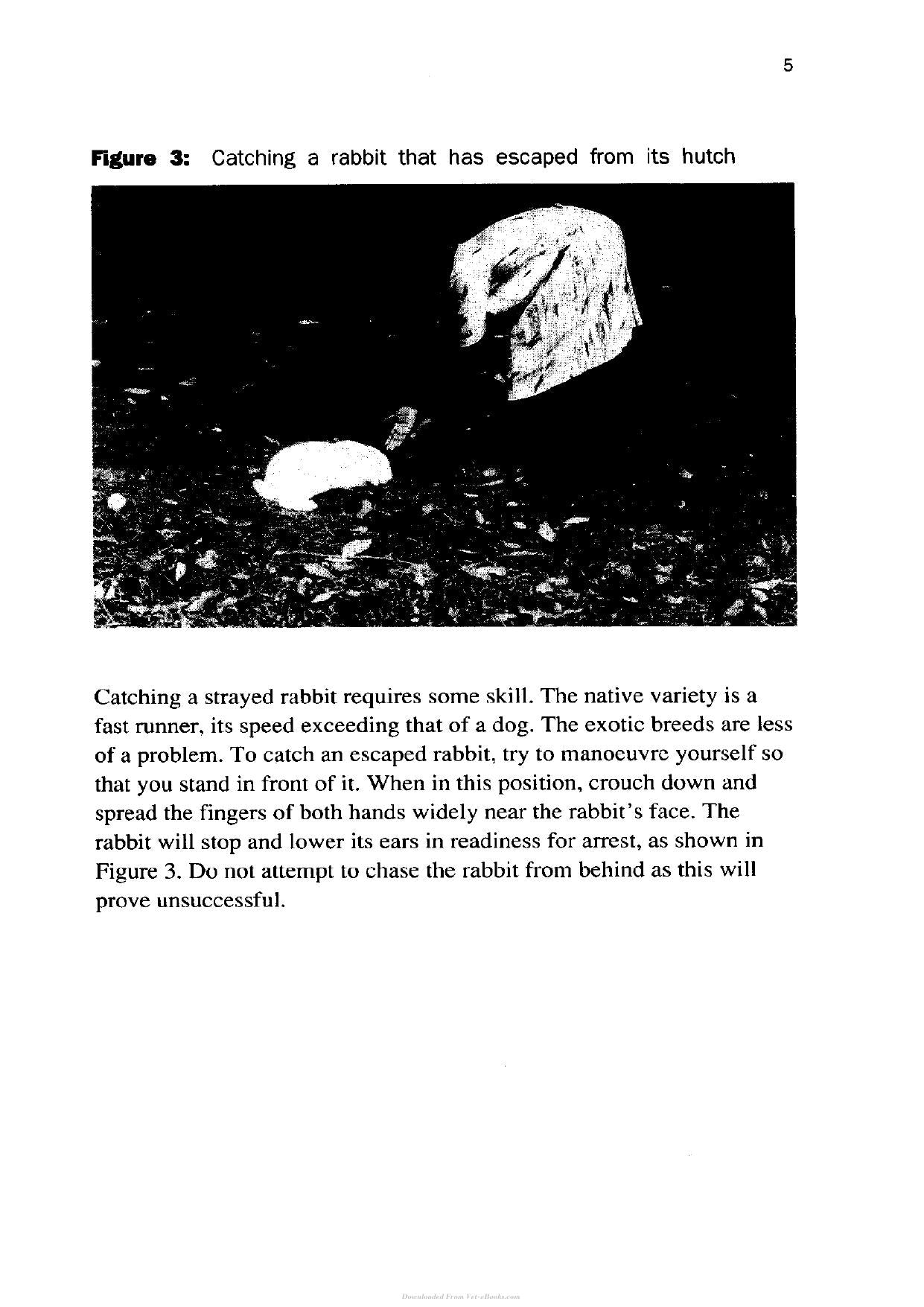 Try The Rabbit A Practical Guide