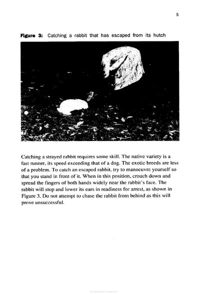 Try the Rabbit a Practical Guide