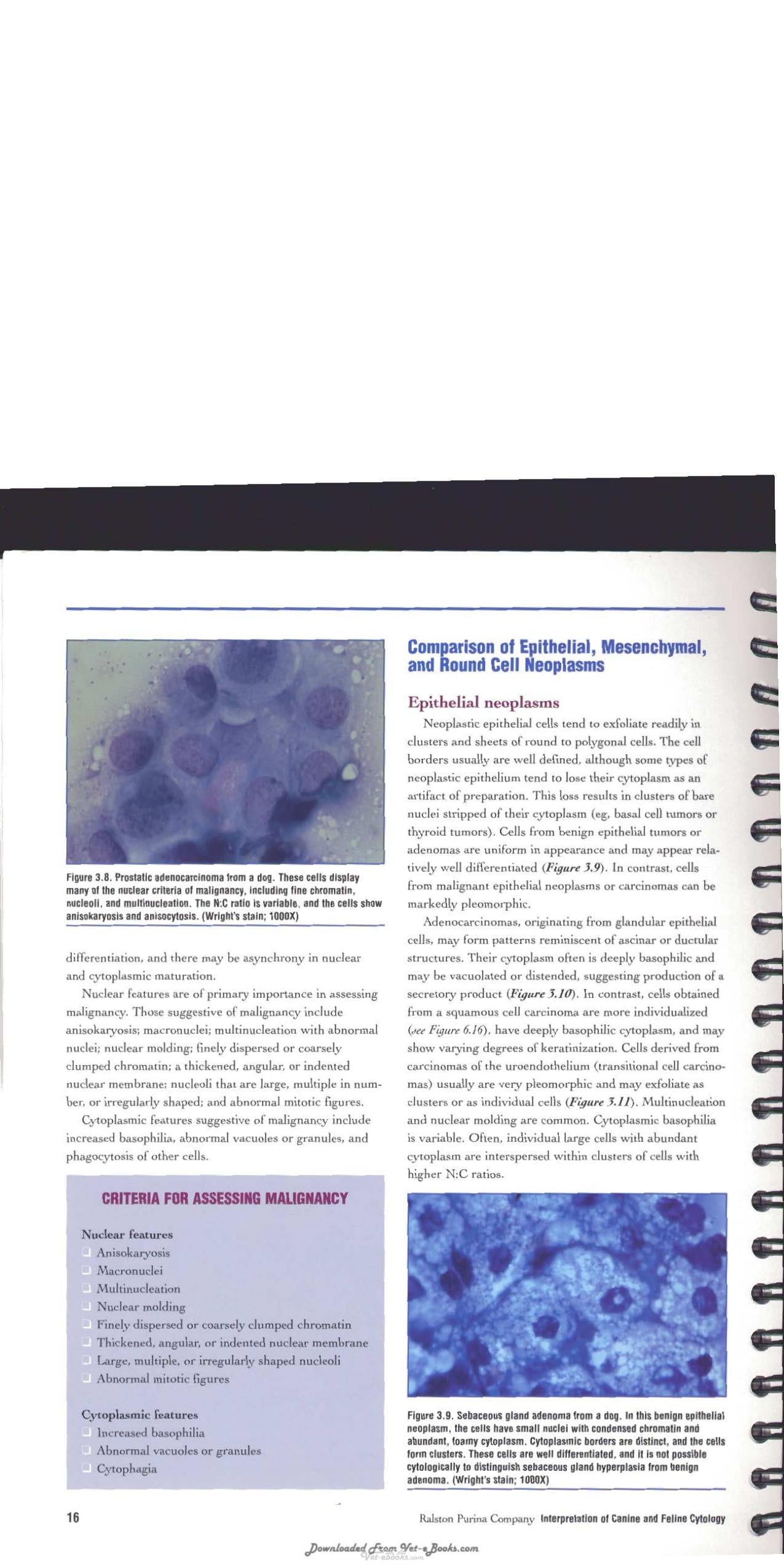 Interpretation Of Canine And Feline Cytology
