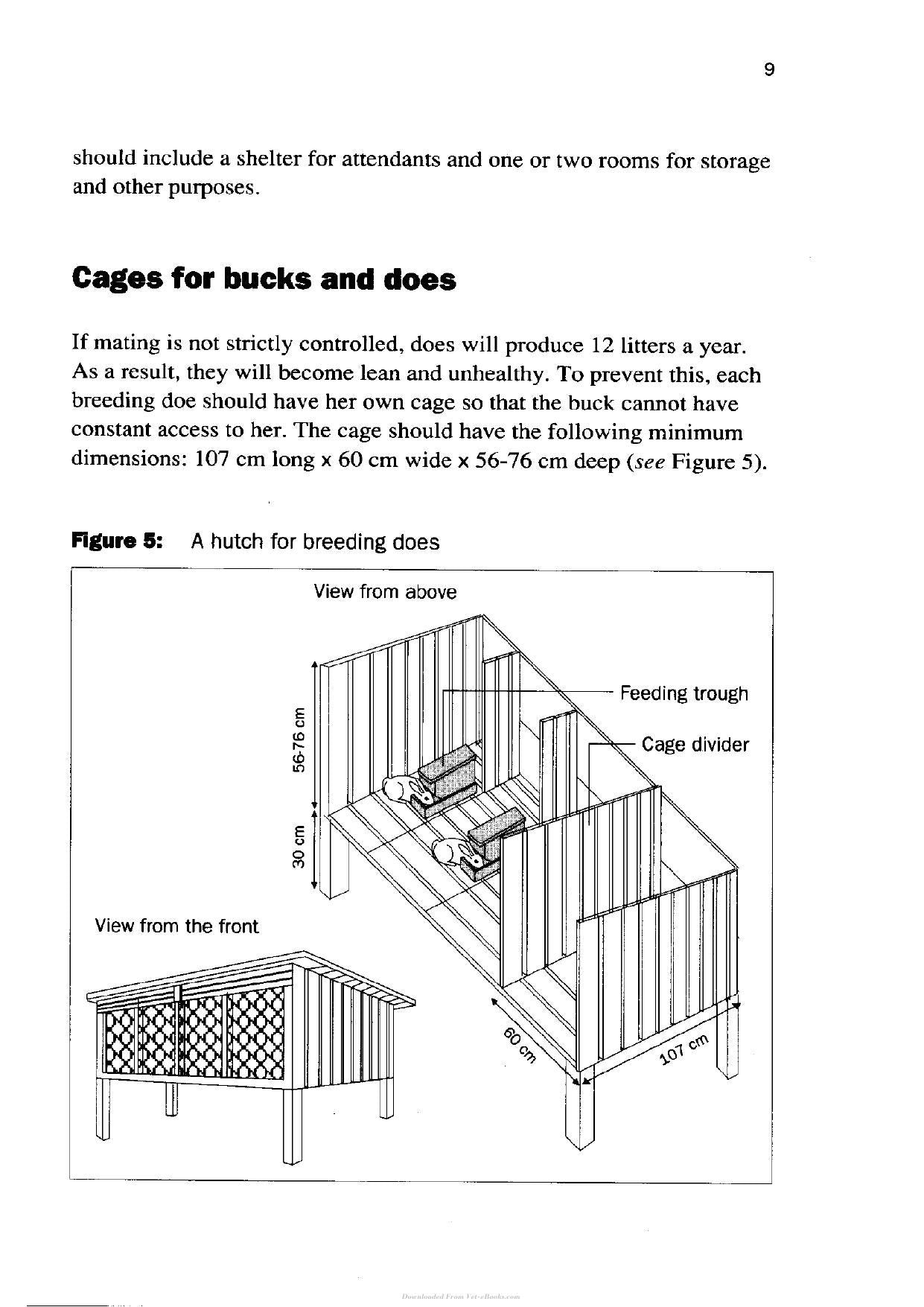 Try The Rabbit A Practical Guide