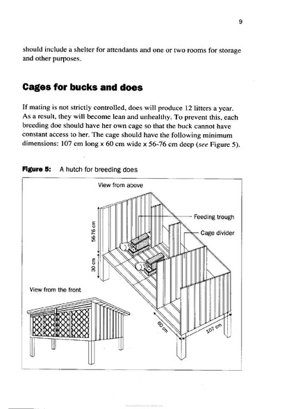 Try the Rabbit a Practical Guide