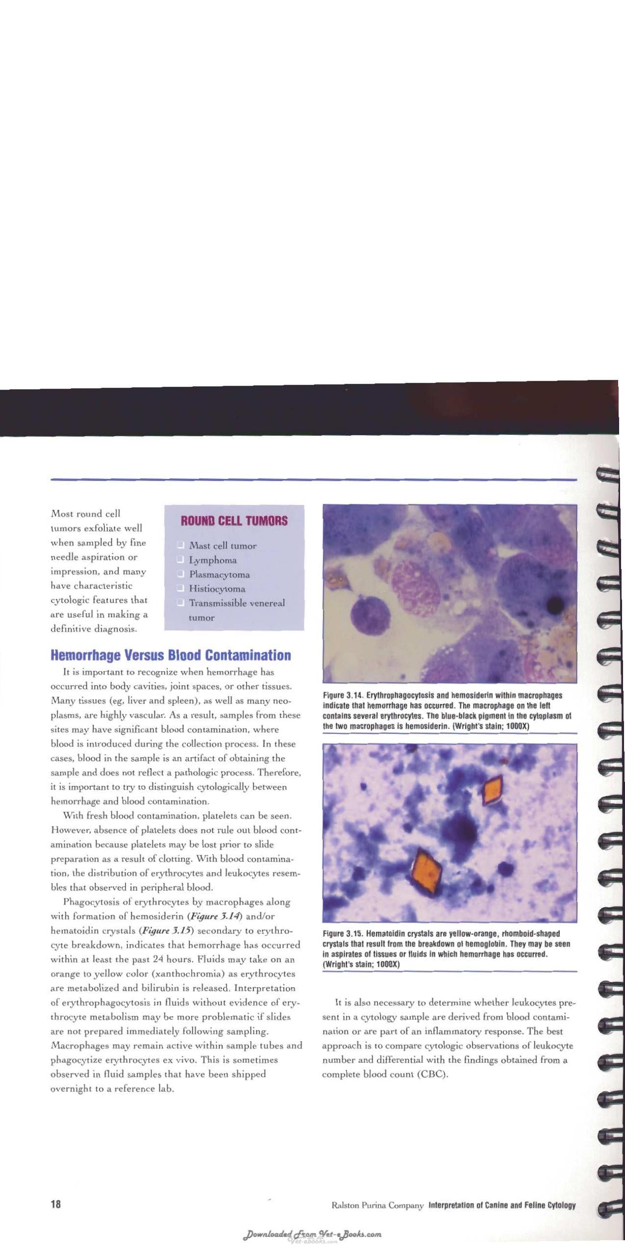 Interpretation Of Canine And Feline Cytology