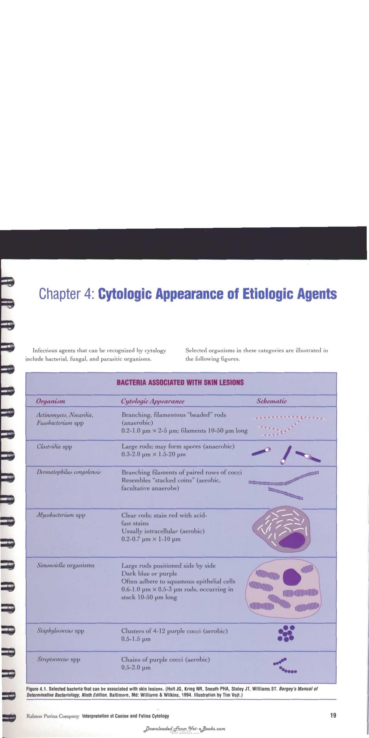 Interpretation Of Canine And Feline Cytology