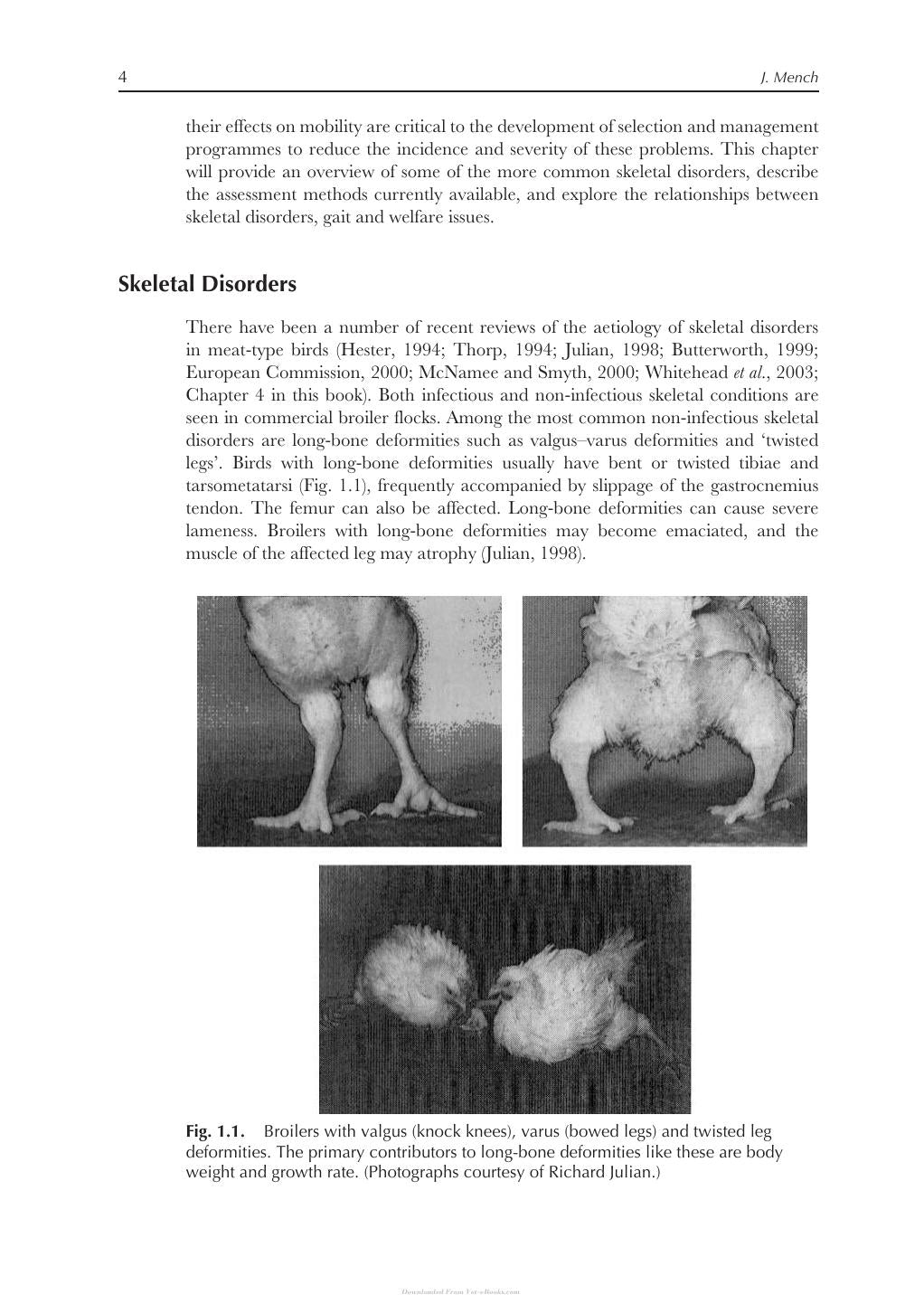 Measuring And Auditing Broiler Welfare