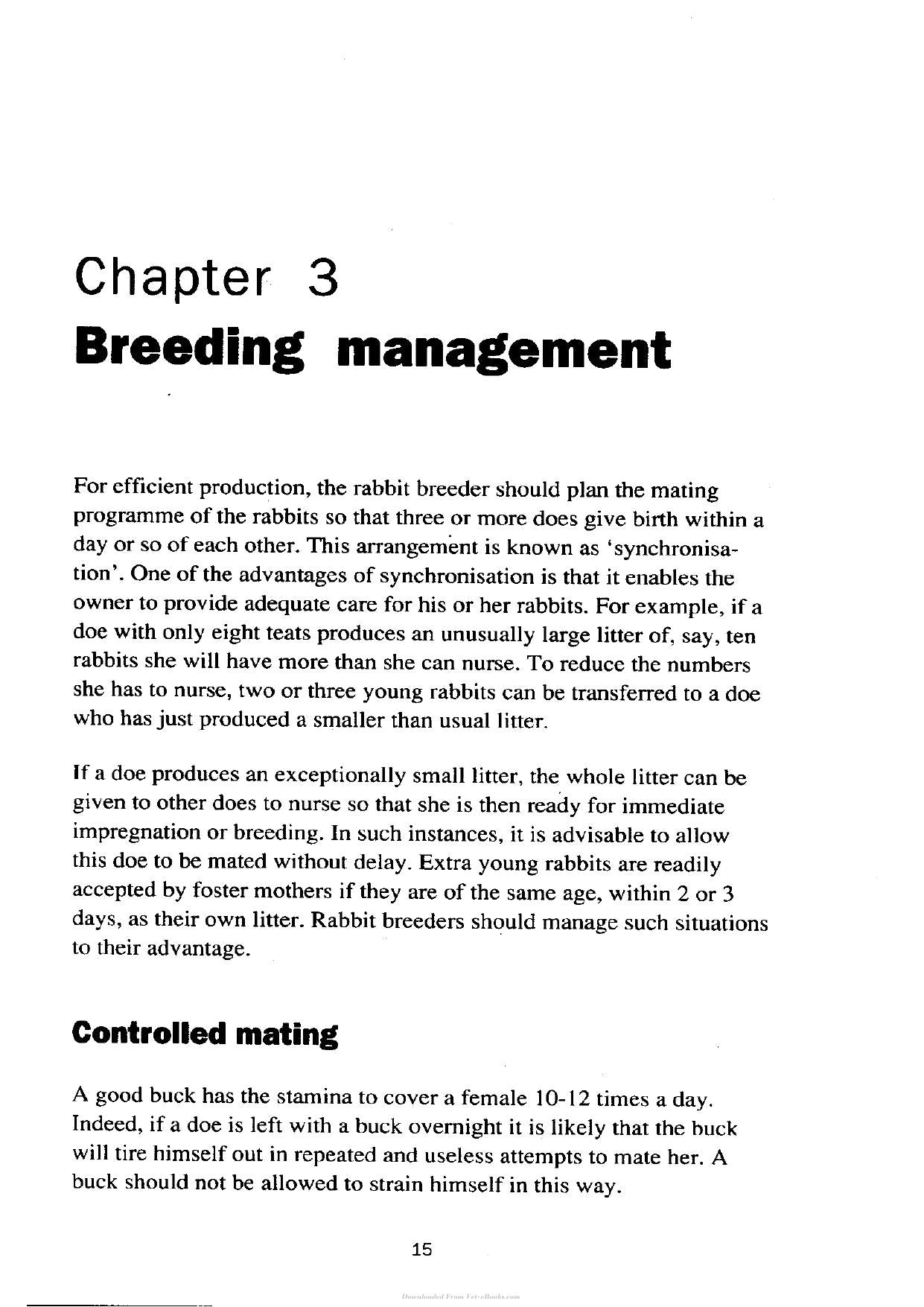 Try The Rabbit A Practical Guide