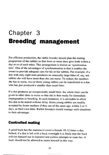 Try the Rabbit a Practical Guide