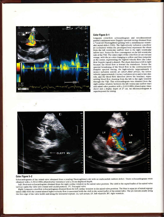 Look Inside page 5