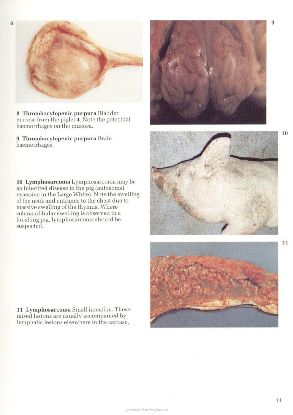 Look Inside page 5