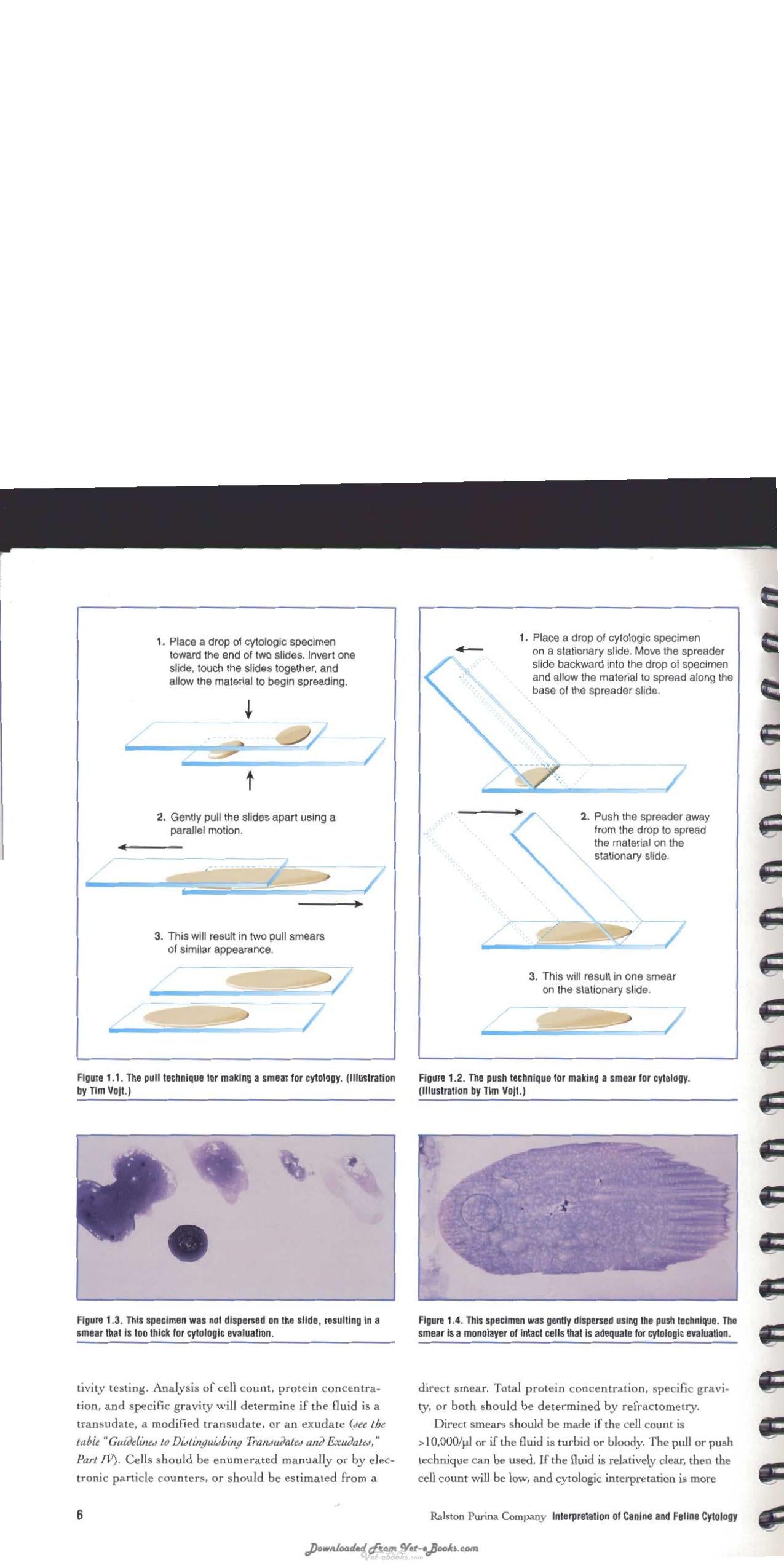 Interpretation Of Canine And Feline Cytology