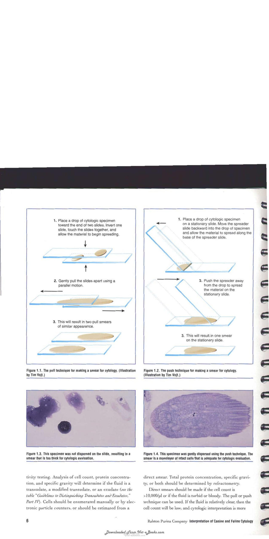 Preview page of Interpretation of Canine and Feline Cytology