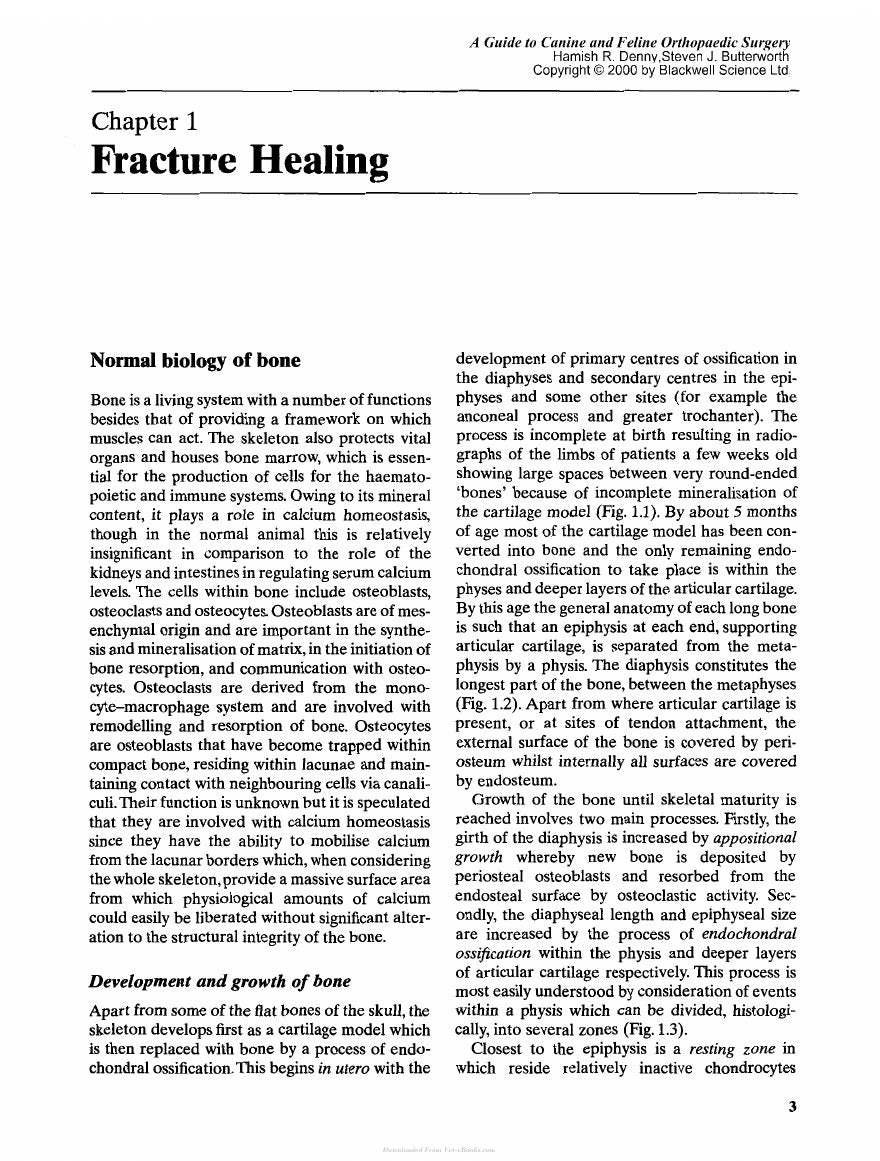 Look Inside page 7