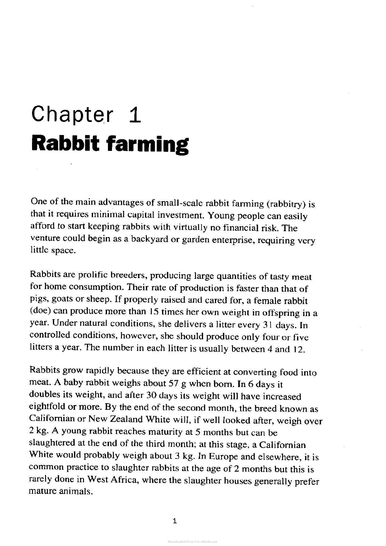Try The Rabbit A Practical Guide