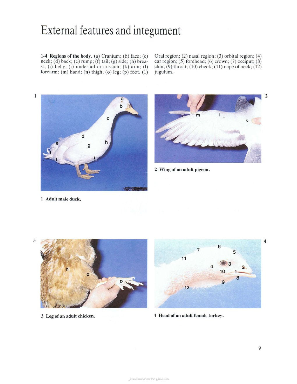 Look Inside page 8