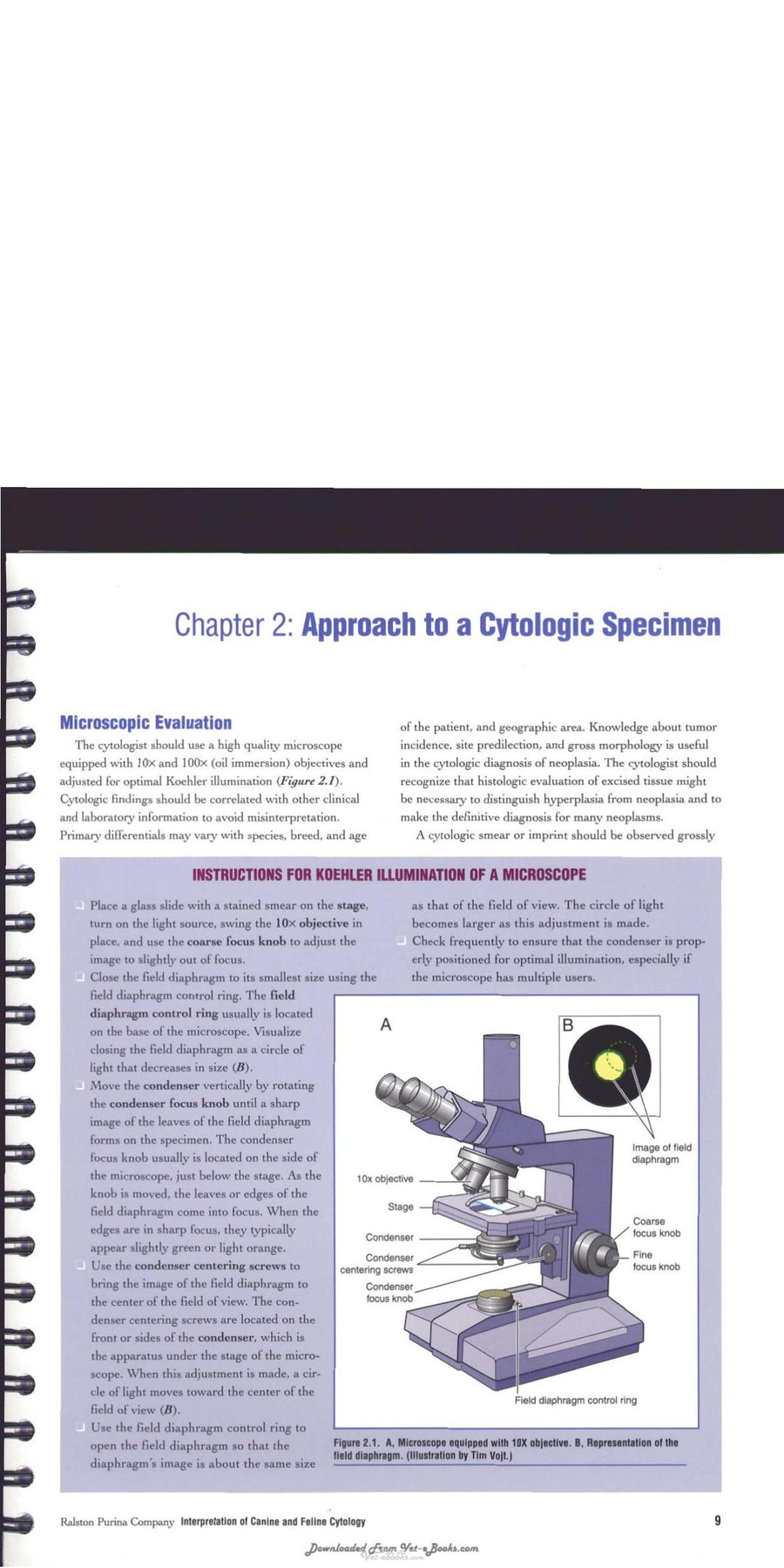 Preview page of Interpretation of Canine and Feline Cytology