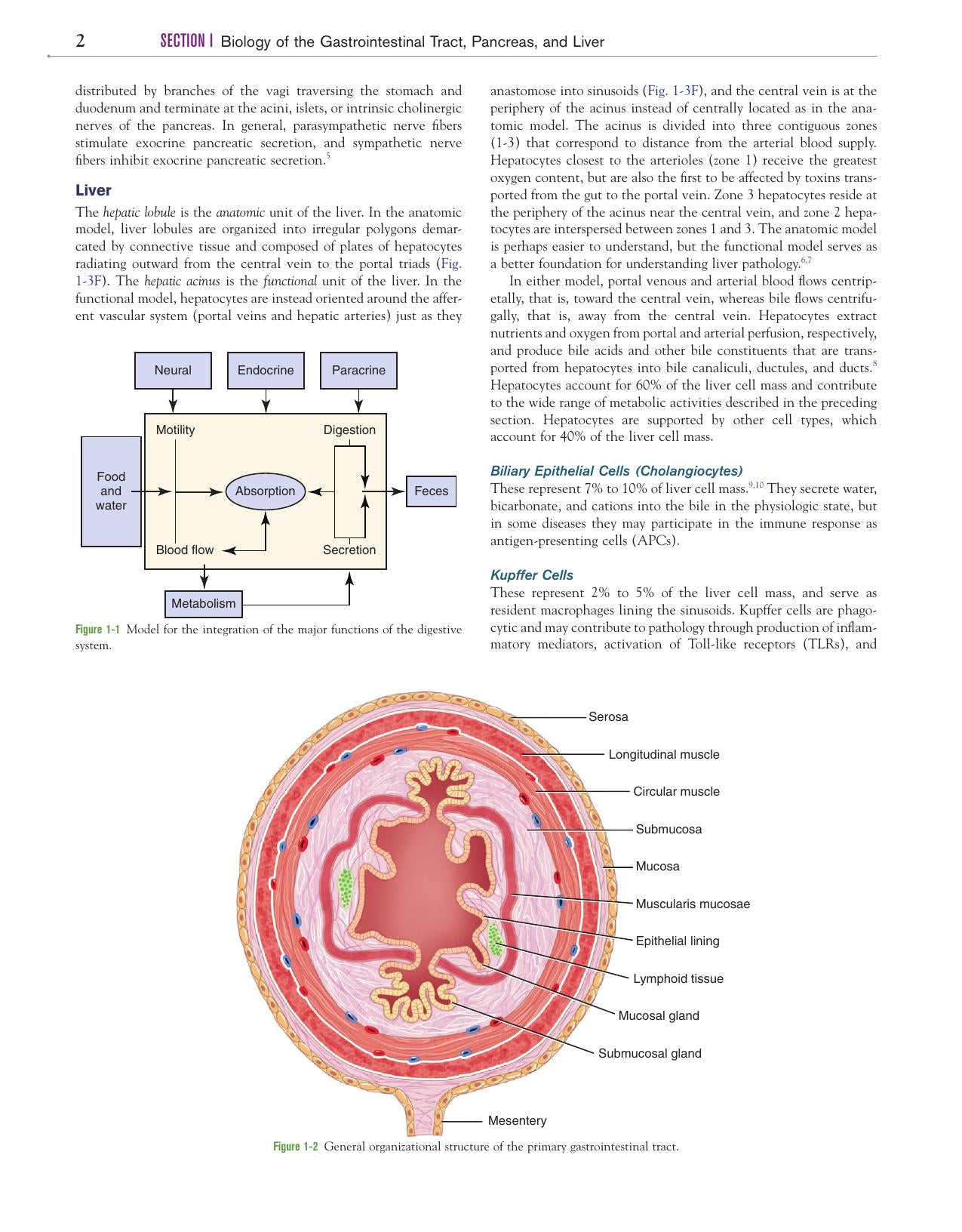 Canine And Feline Gastroenterology