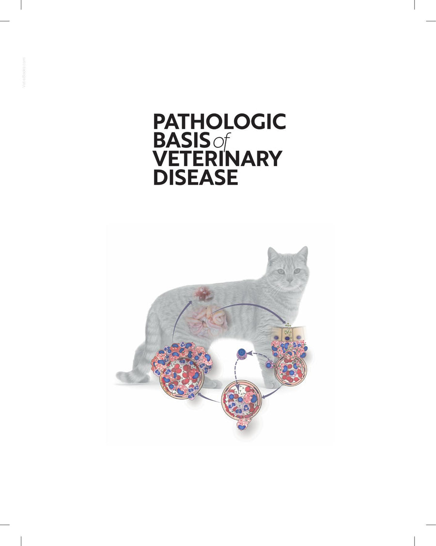 Preview page of Pathologic Basis of Veterinary Disease 7th Edition