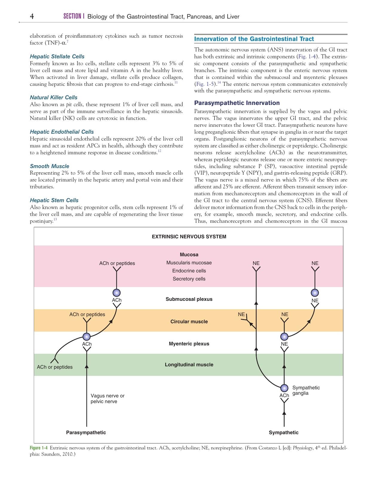 Canine And Feline Gastroenterology