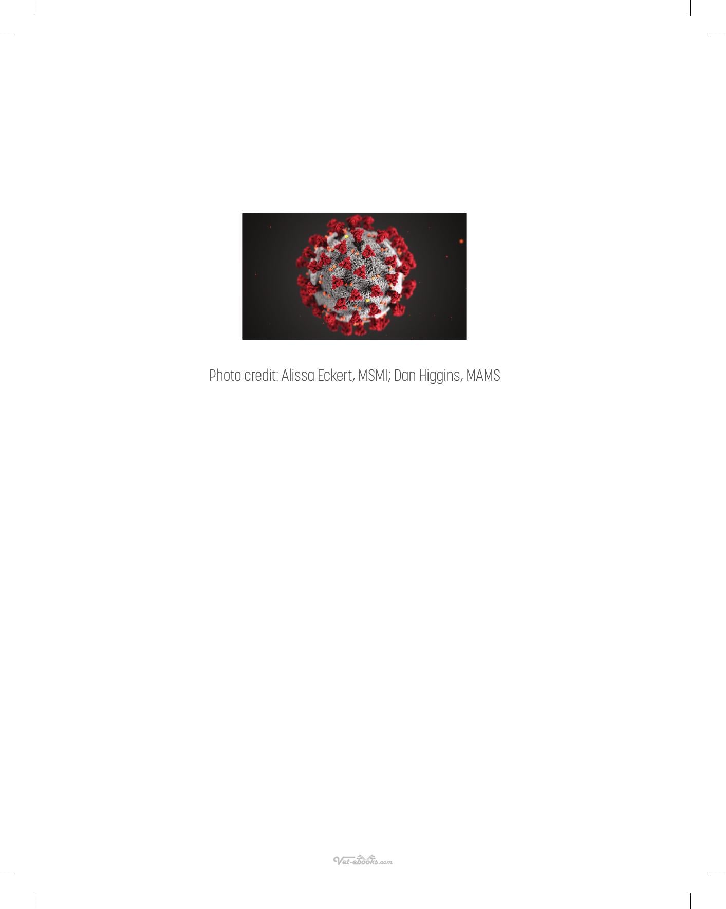 Look inside — page 4