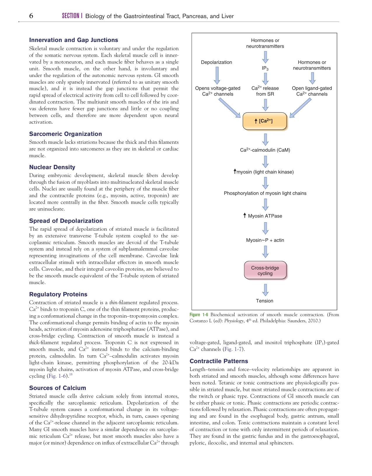 Canine And Feline Gastroenterology