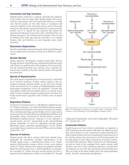 Canine and Feline Gastroenterology