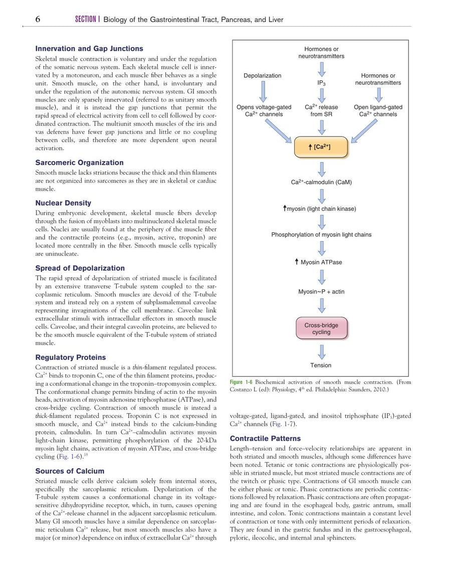 Preview page of Canine and Feline Gastroenterology