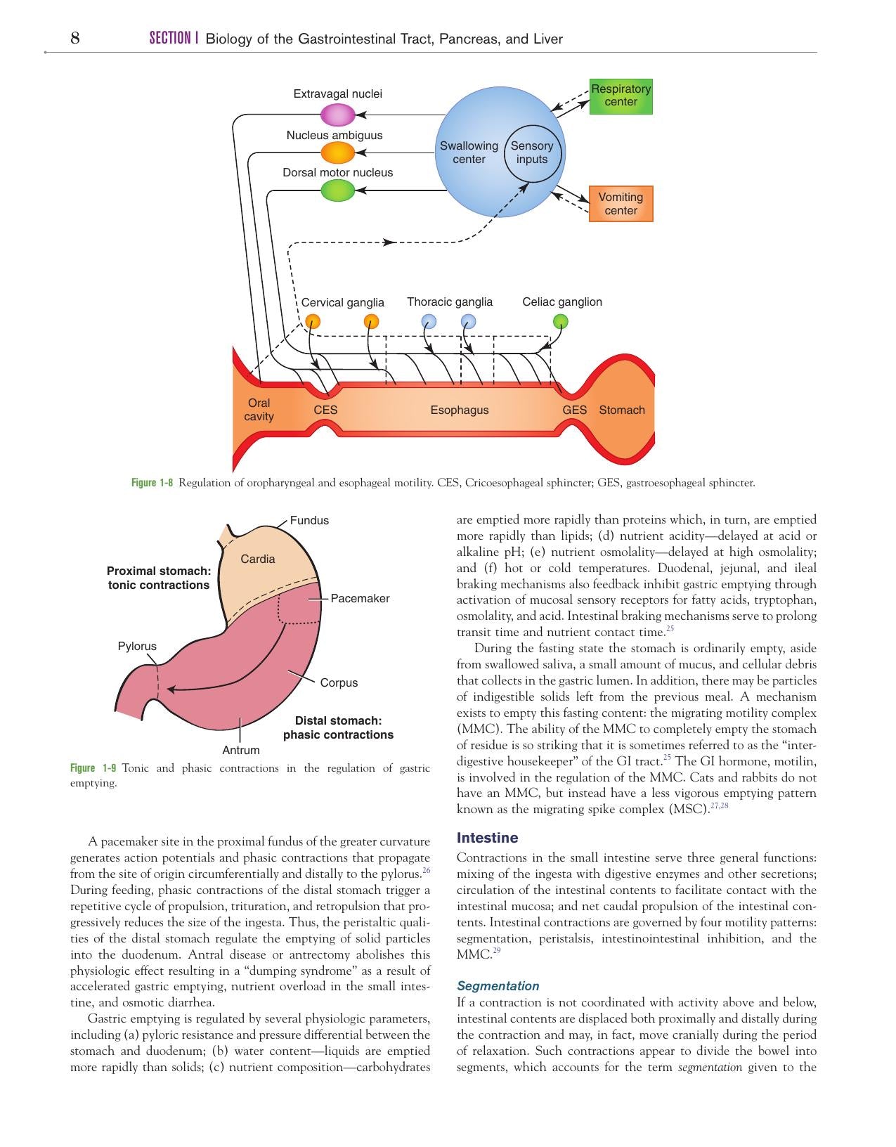 Canine And Feline Gastroenterology