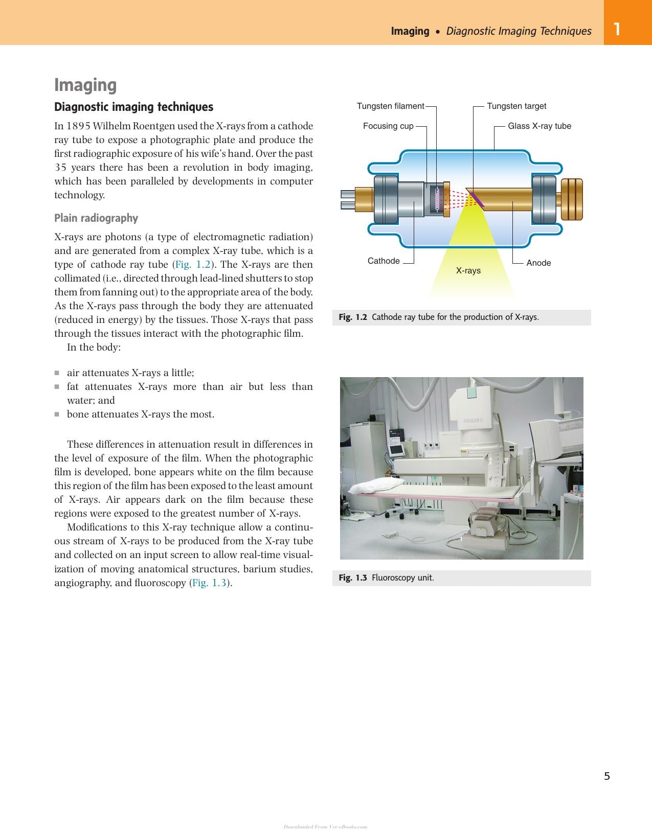 Look inside — page 8