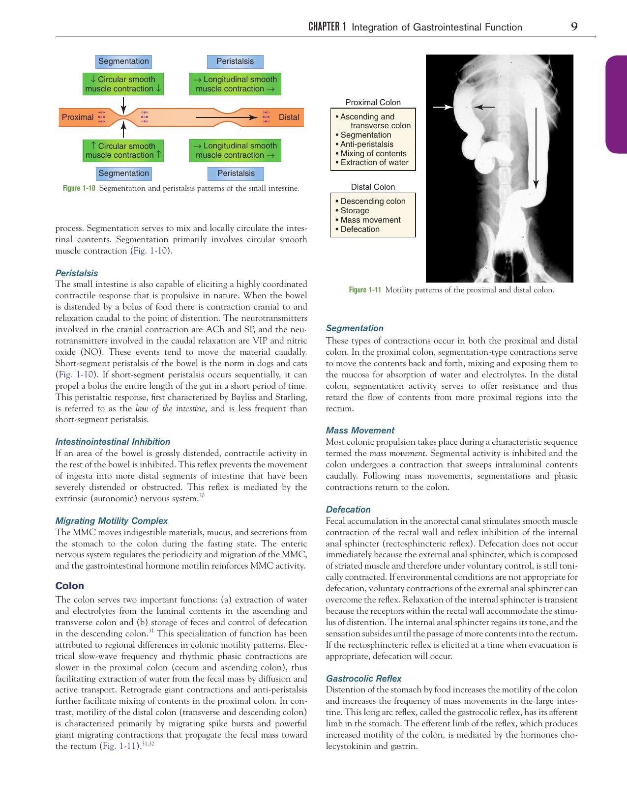 Canine And Feline Gastroenterology
