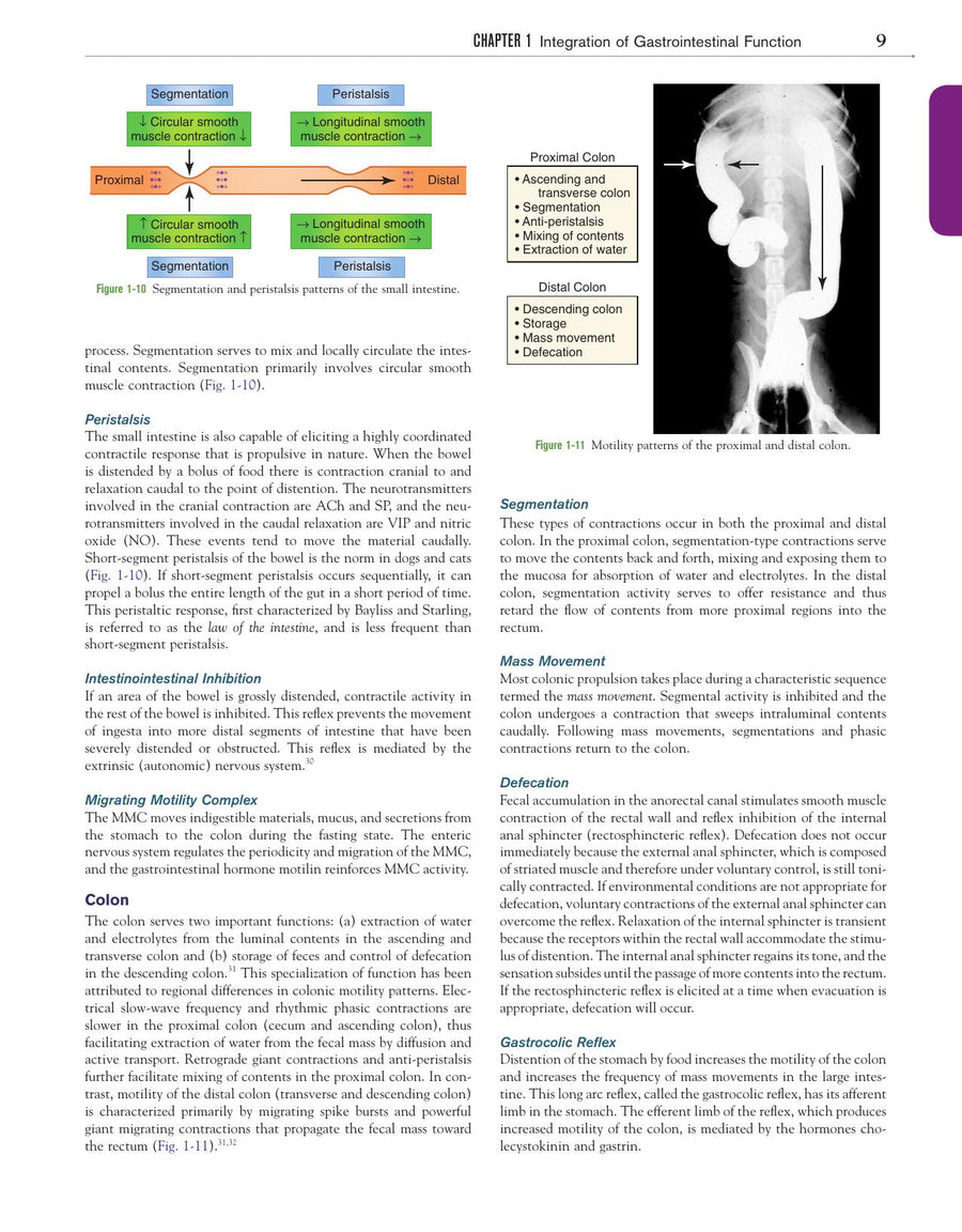 Preview page of Canine and Feline Gastroenterology