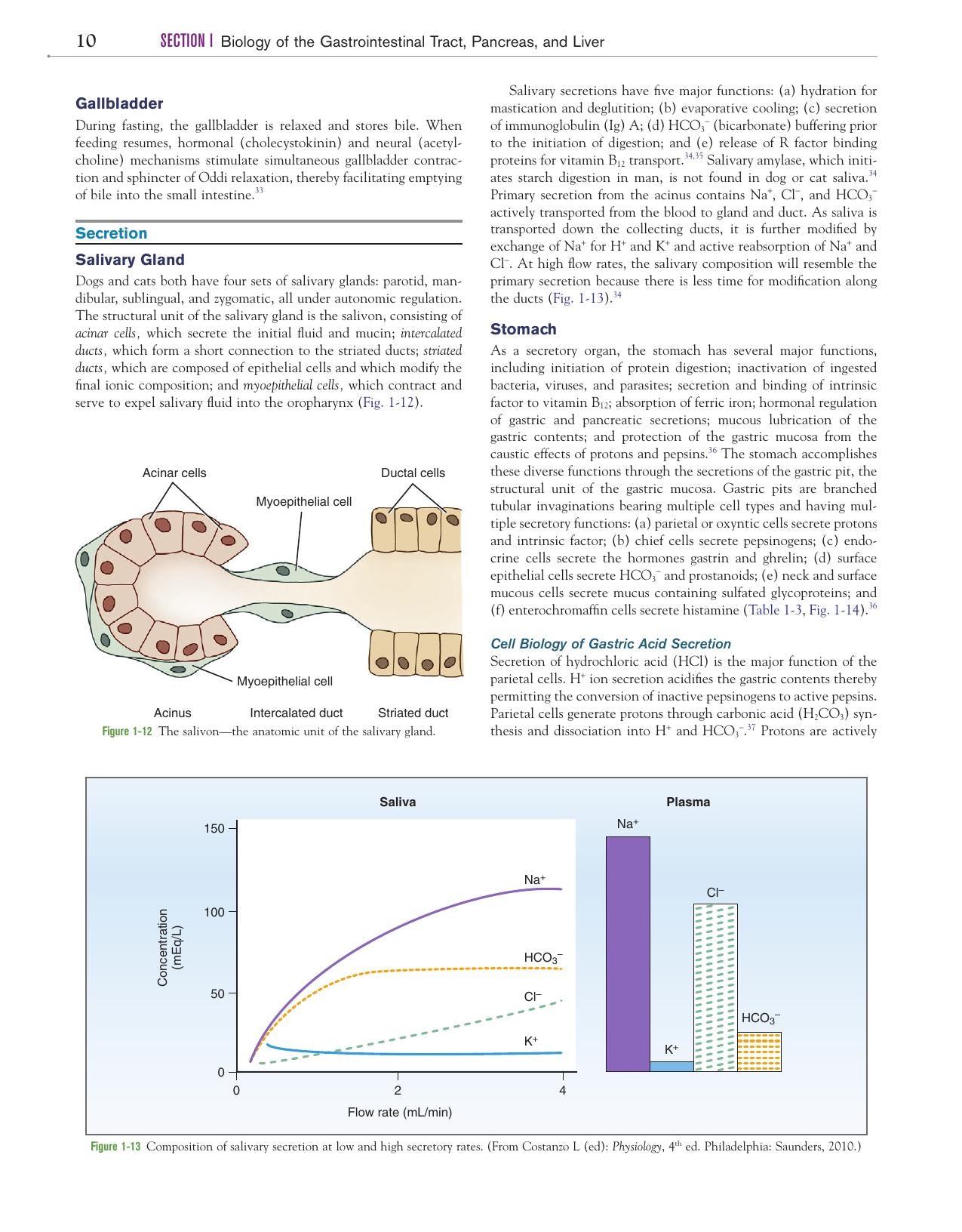 Canine And Feline Gastroenterology
